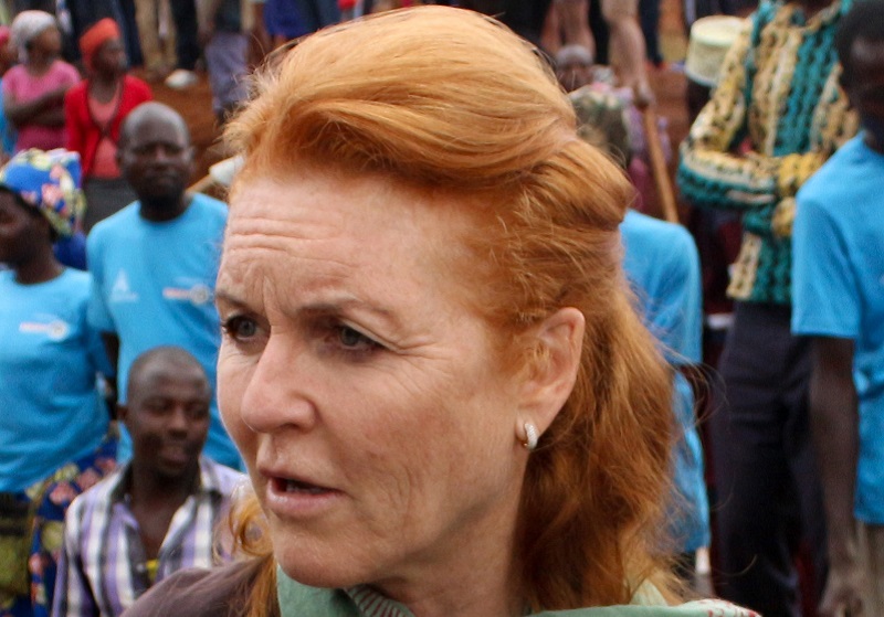 Királyi romantikus történelmi regény